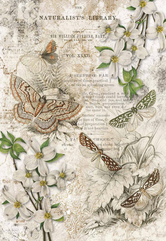 Decoupage Queen - Naturalist Library Decoupage Paper