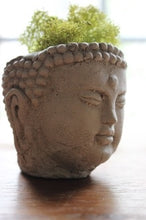 Buddha Pot Head
