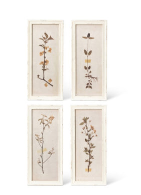 Pressed Botanical Print