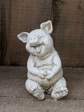 Sitting Laughing Pig