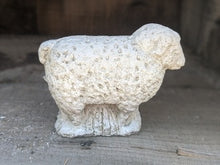 Mini Lamb