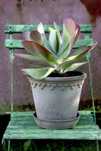 Bergs Potter Copenhagen Grey 10cm