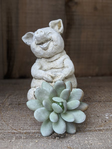 Sitting Laughing Pig