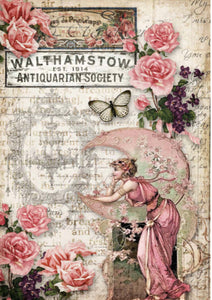 Decoupage Queen - Antiquarian Society - Decoupage Paper