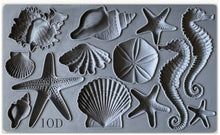 IOD Decor Mould "Sea Shells"