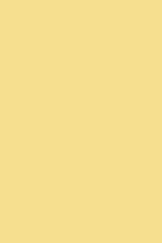 Lancaster Yellow No. 249 (ARCHIVED)