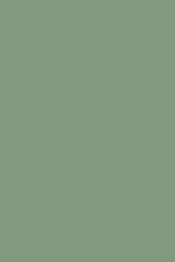 Pea Green No. 33 (ARCHIVED)
