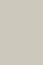 Shadow Gray No. 9904 (ARCHIVED)